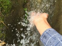 在世界污染如此严重的世纪,钟山的水这么纯净,好想装成矿泉水拿去卖!-钟山网-钟山村