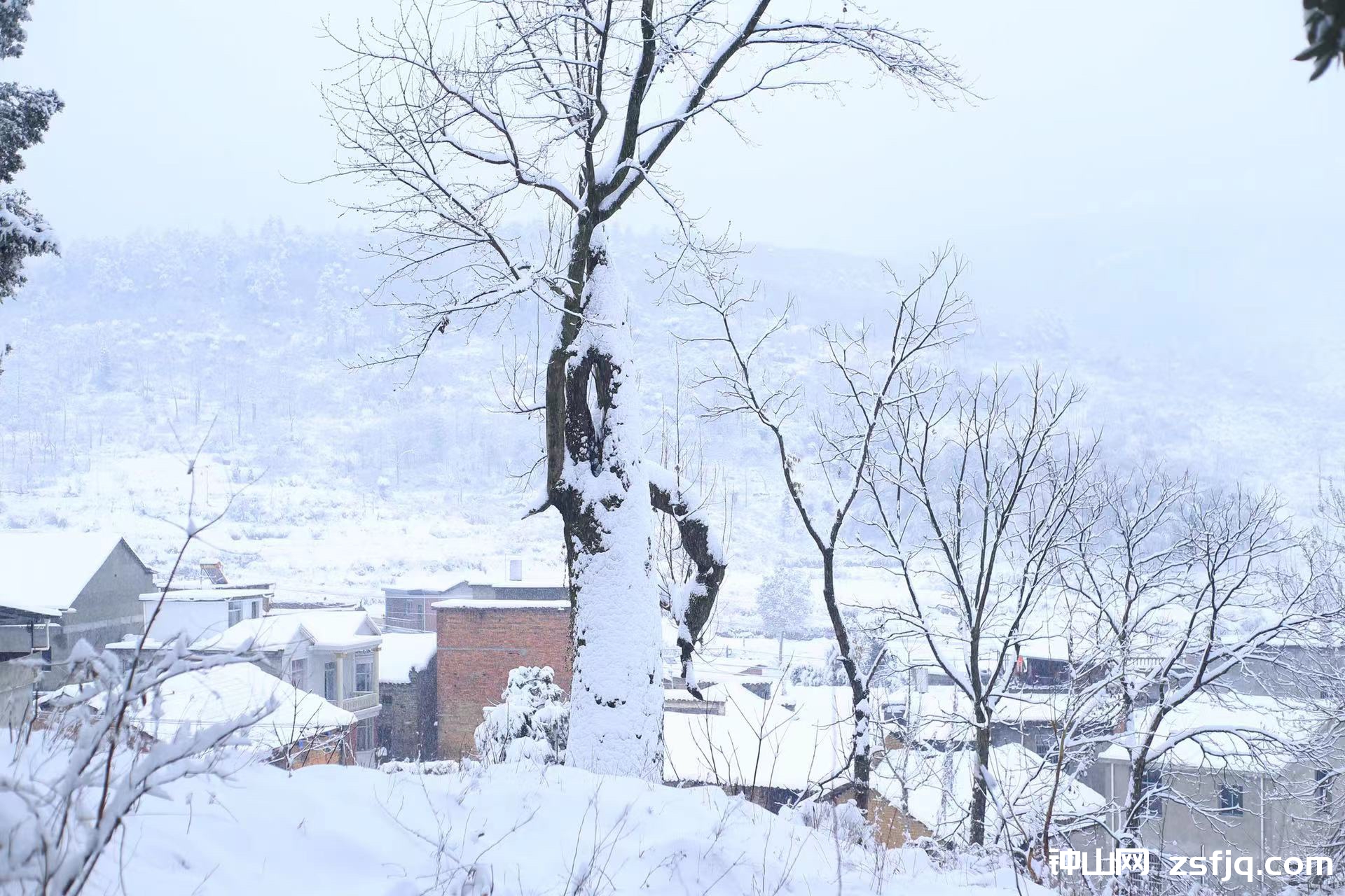 钟山2022年雪景-钟山网-钟山村